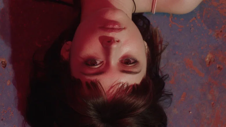 Tótem Loba screenshot 1