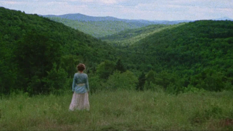 Pilgrim, Farewell screenshot 2