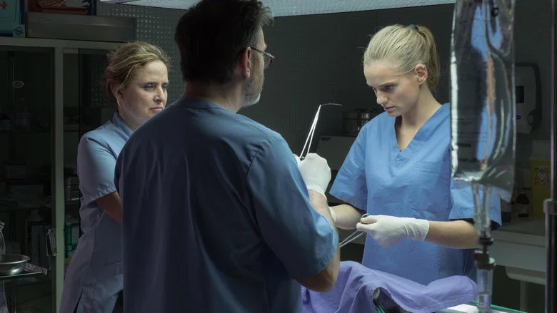 The Vets screenshot 5