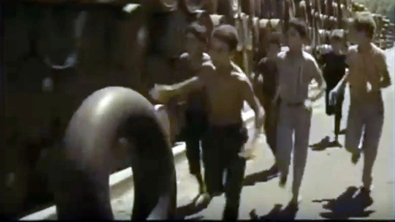 Les Moineaux d'Algérie screenshot 1