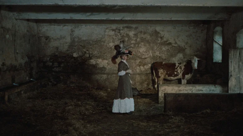 Oil Lamps screenshot 6