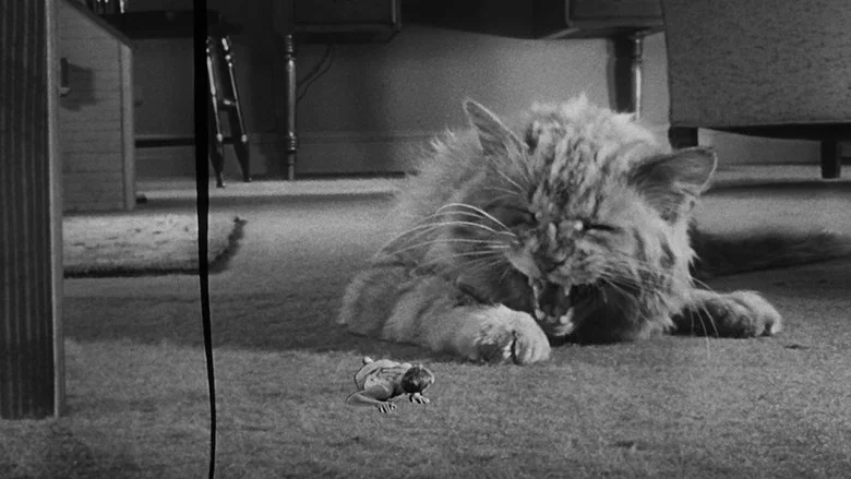 The Incredible Shrinking Man screenshot 4