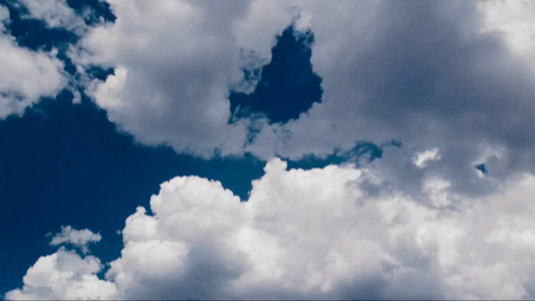 The Happening screenshot 6