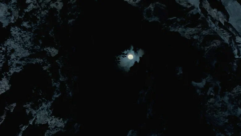 Uncle Boonmee Who Can Recall His Past Lives screenshot 6