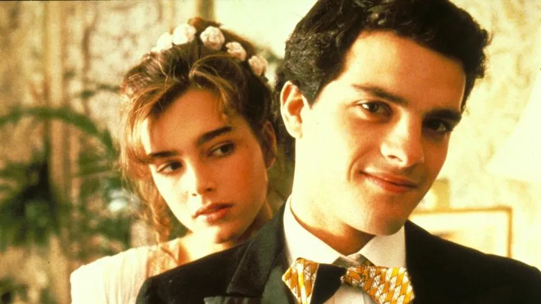 Endless Love screenshot 2