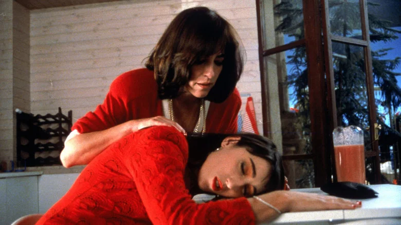 Women on the Verge of a Nervous Breakdown screenshot 8
