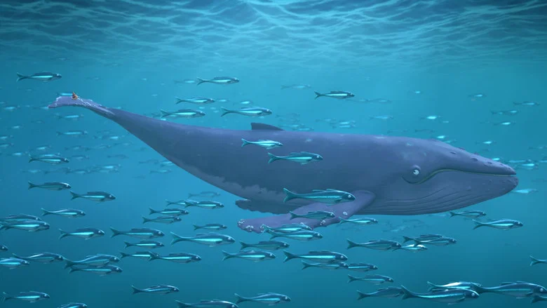 The Snail and the Whale screenshot 4