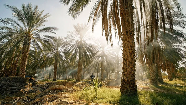 Tunisie : Une oasis dans un grain de sable screenshot 1