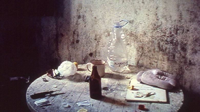 In Vanda's Room screenshot 3