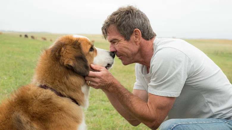 A Dog's Purpose screenshot 6