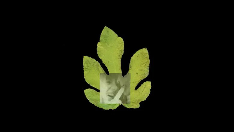 The Fig Tree screenshot 1