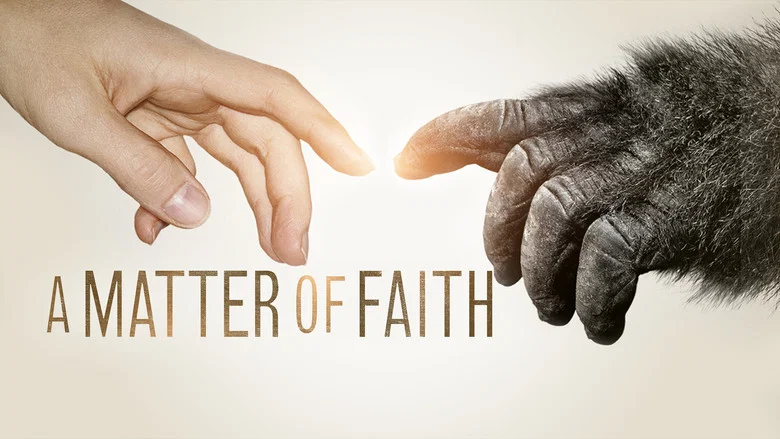 A Matter of Faith screenshot 7