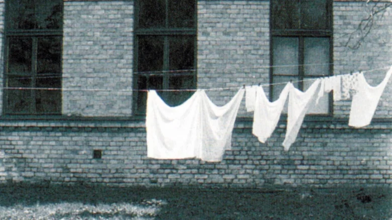 The Linen screenshot 1