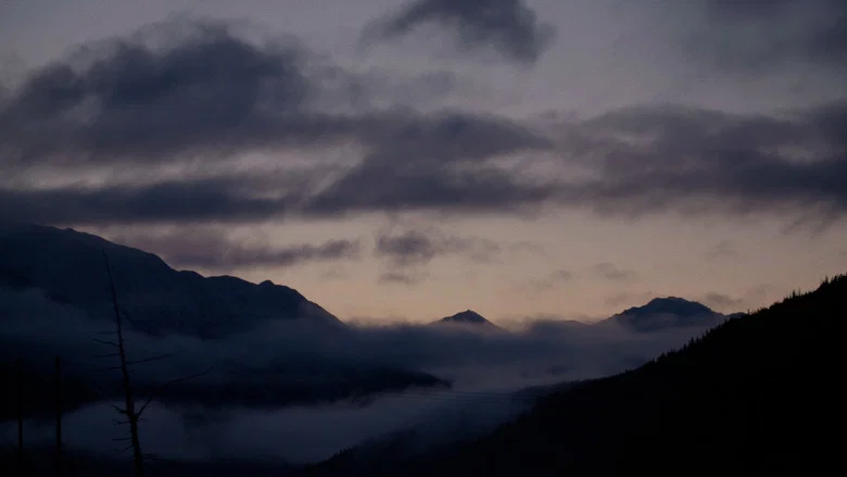 Prettier in Whittier screenshot 2