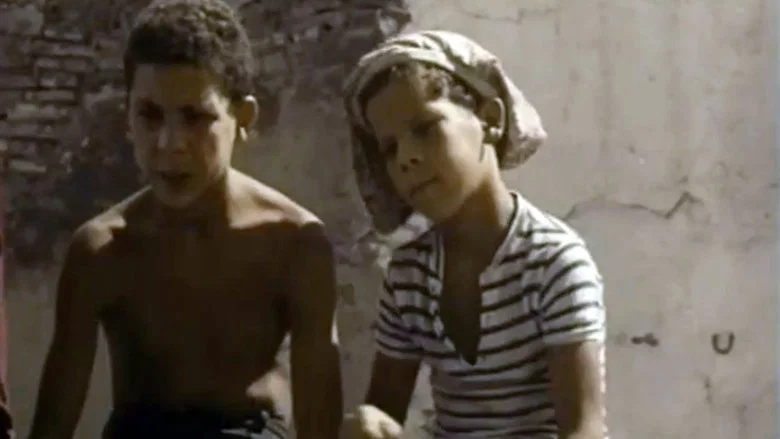 Les Moineaux d'Algérie screenshot 7