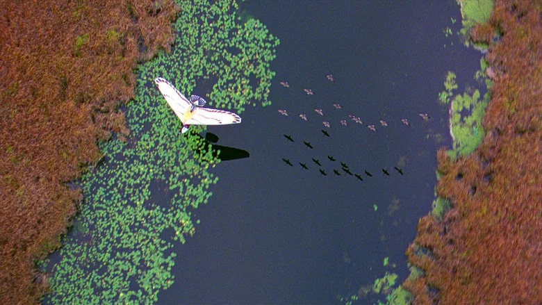 Fly Away Home screenshot 6