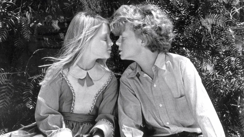 Tom Sawyer screenshot 3