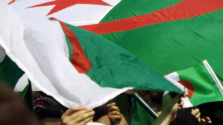 They Chose Algeria screenshot 2