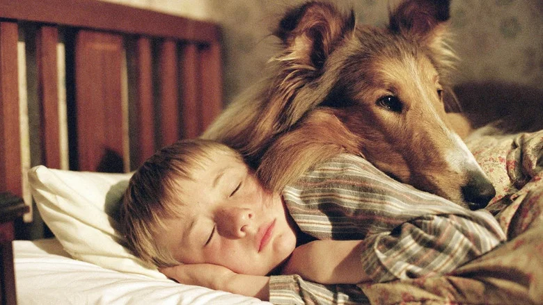 Lassie screenshot 7