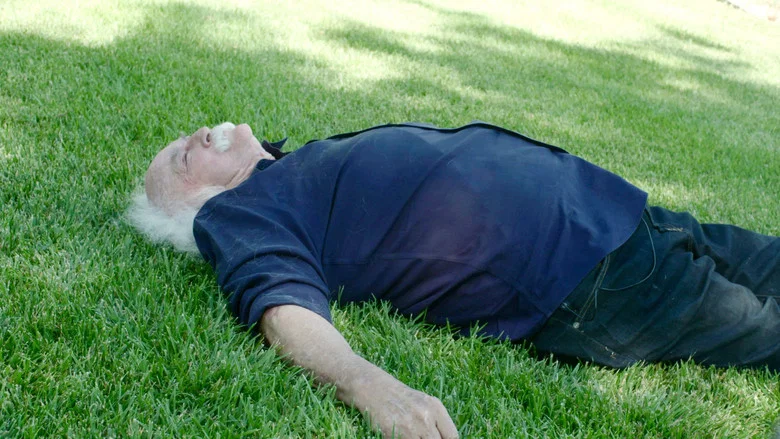 David Crosby: Remember My Name screenshot 6