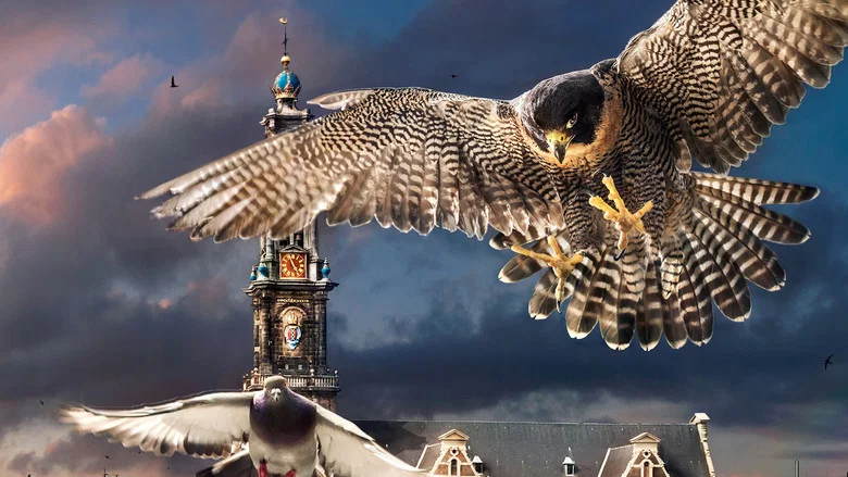 Wild Amsterdam screenshot 2