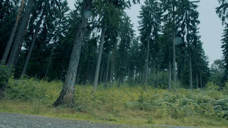 Redwood screenshot 4