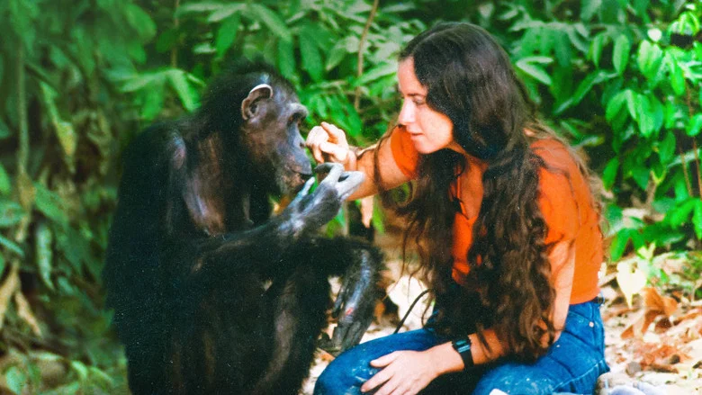 Lucy the Human Chimp screenshot 2
