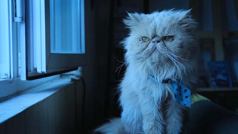 The Cats screenshot 2