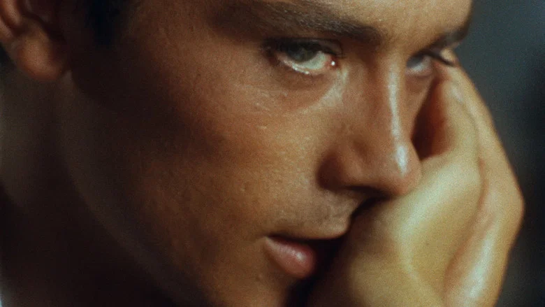 Purple Noon screenshot 6