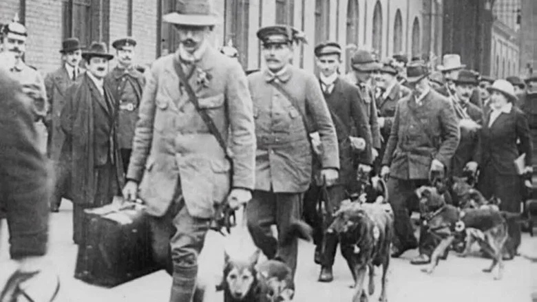 Red Cross Dogs screenshot 1