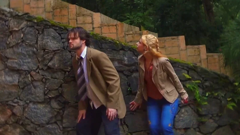 Sabiá screenshot 2