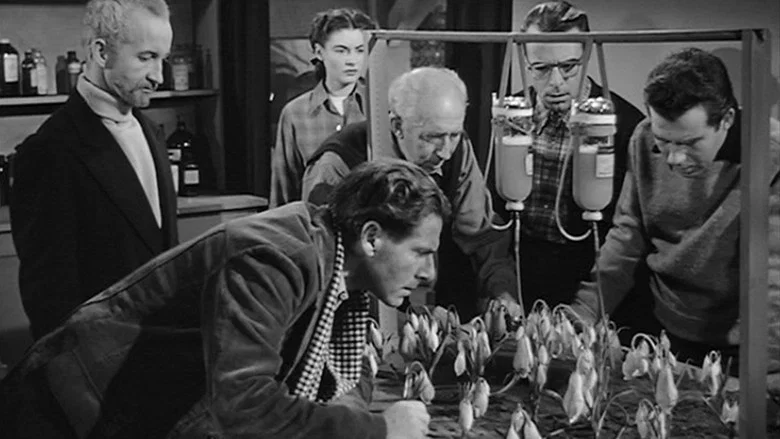 The Thing from Another World screenshot 4