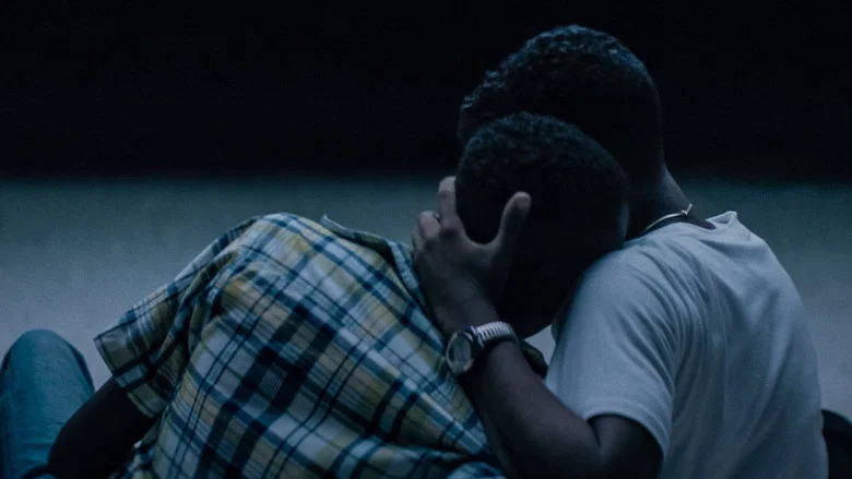 Moonlight screenshot 8