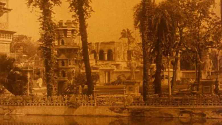 Picturesque India or, In and About Calcutta screenshot 1