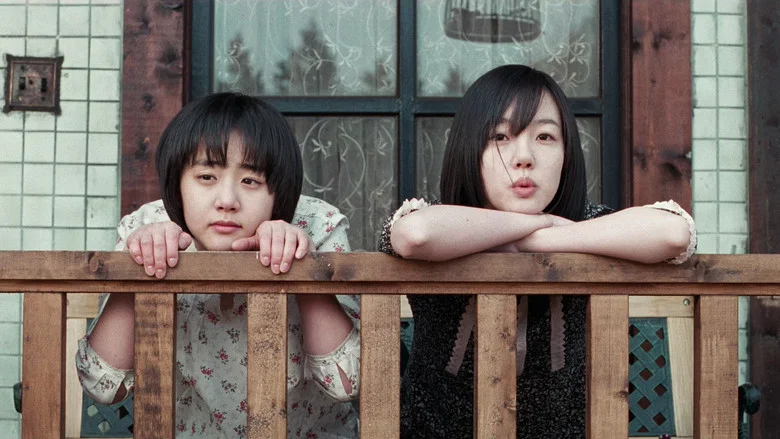 A Tale of Two Sisters screenshot 5