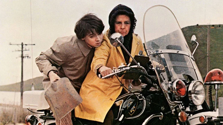 Harold and Maude screenshot 2