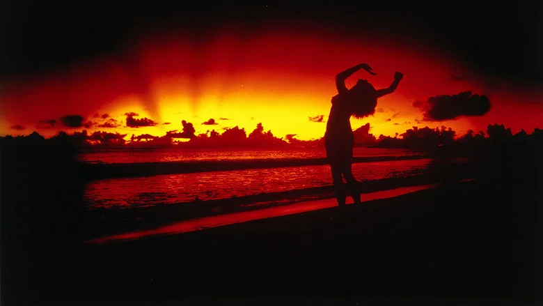 Castaway screenshot 6