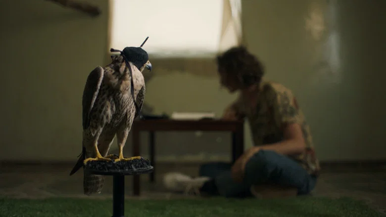 The Falconer screenshot 1