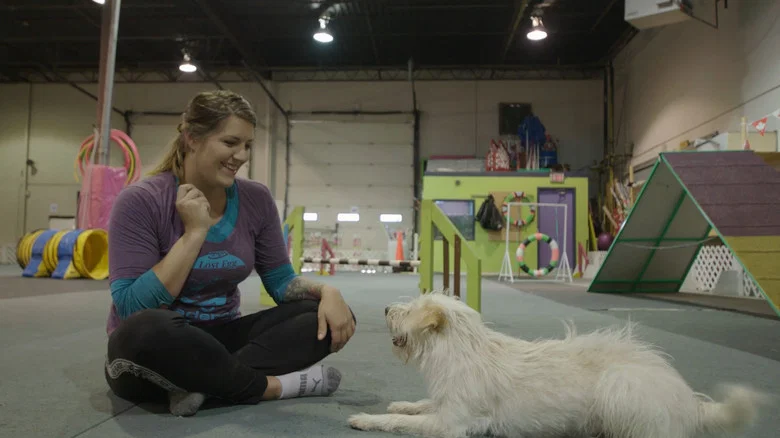 Dogsville screenshot 1