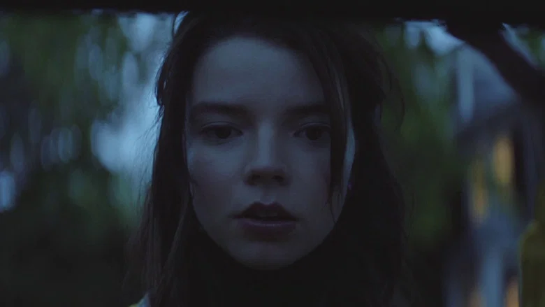 Thoroughbreds screenshot 4