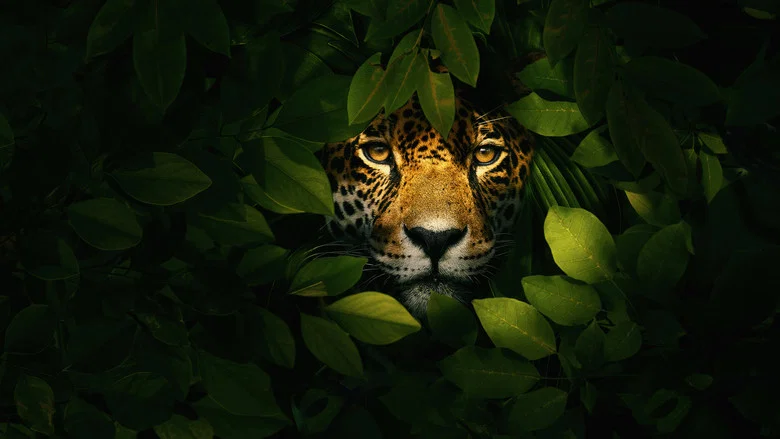 Jaguar vs. Croc screenshot 4