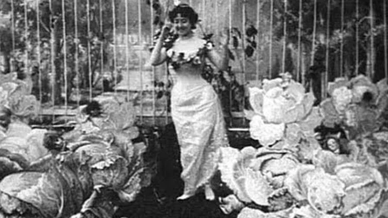 The Cabbage-Patch Fairy screenshot 2