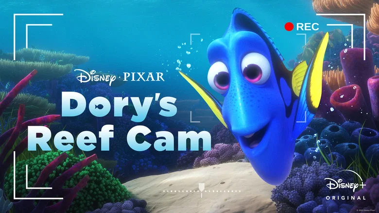 Dory's Reef Cam screenshot 4