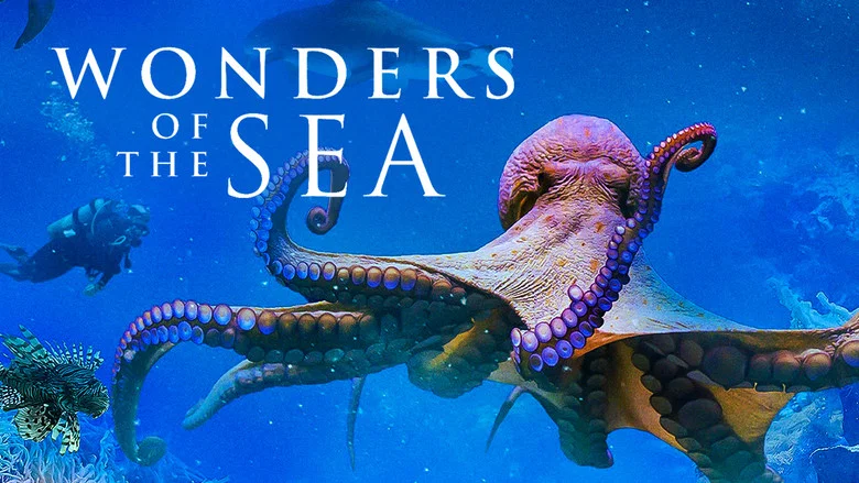 Wonders of the Sea screenshot 3