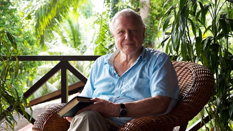 Attenborough: 60 Years in the Wild screenshot 4