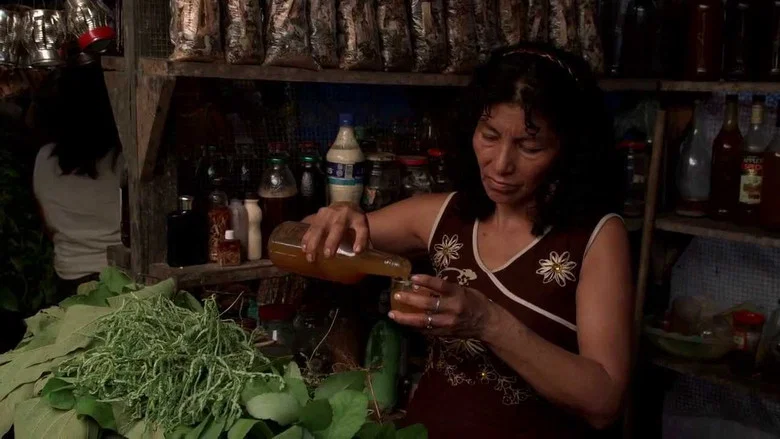 Ayahuasca Diary screenshot 1