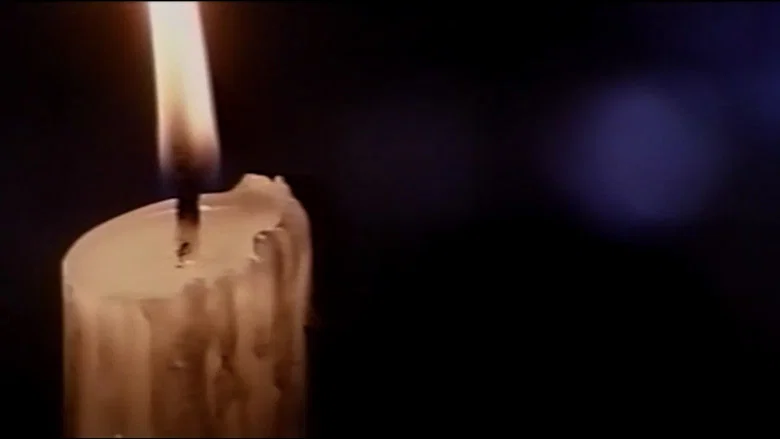 Lady Black Rose screenshot 4