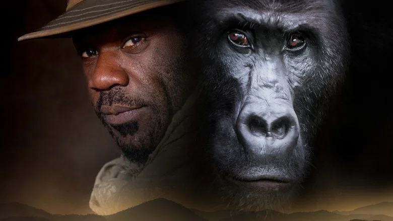 Silverback screenshot 3