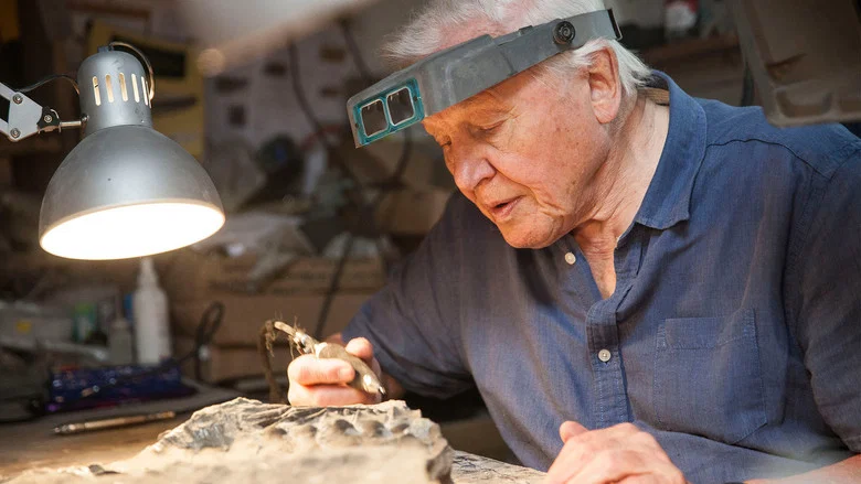Attenborough and the Sea Dragon screenshot 5