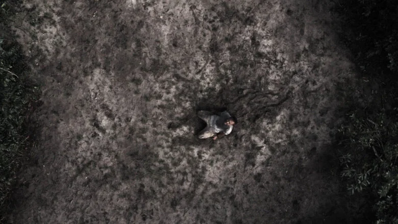 Urubú screenshot 1